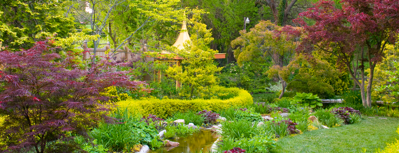 Yellow Garden Photo credit: Helen Norman