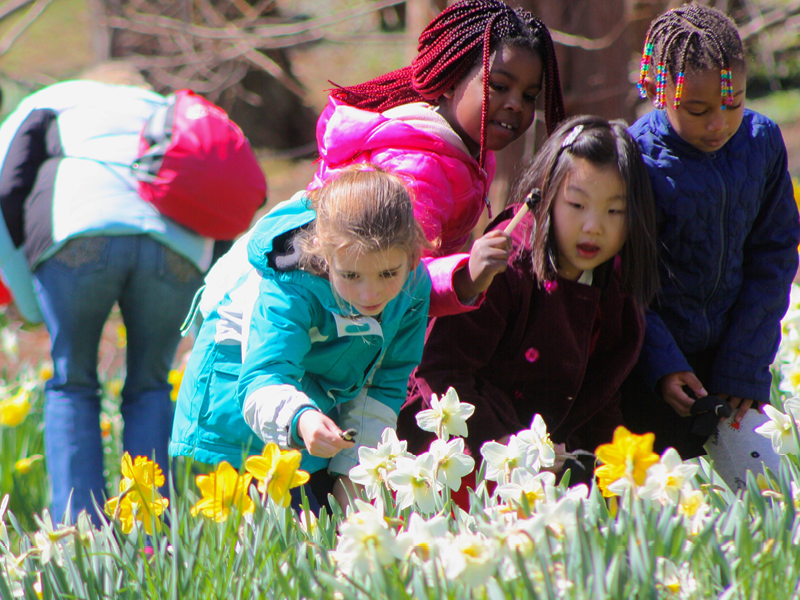Children with Daffodils in Hunt Scene