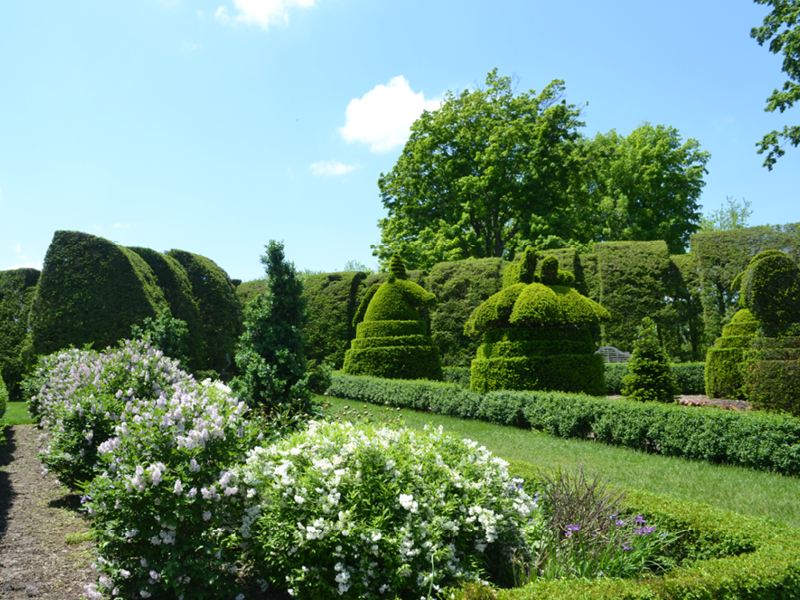 Sculpture Garden in June