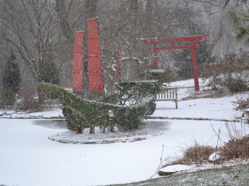 Chinese junk in snow