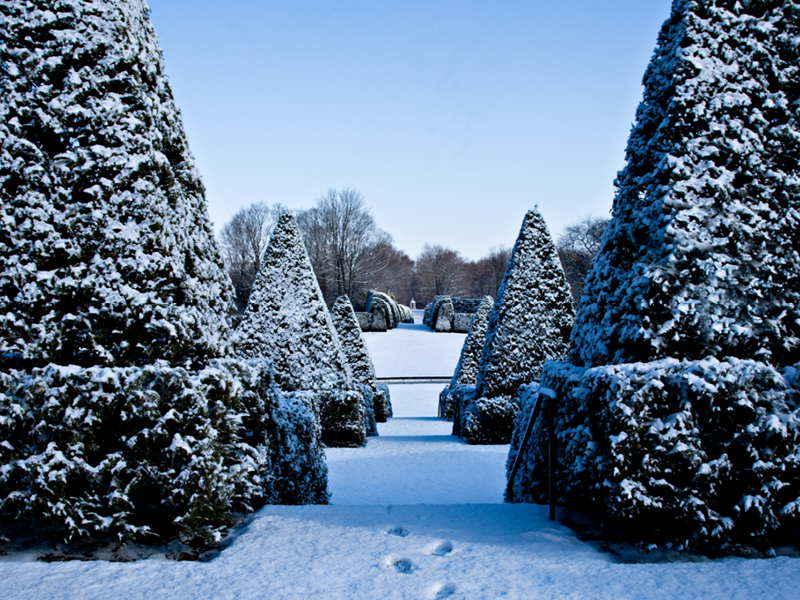 Terrace steps